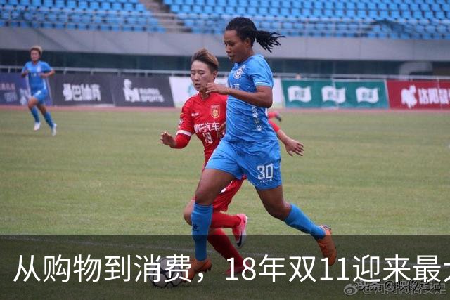 从购物到消费，18年双11迎来最大一次跃迁